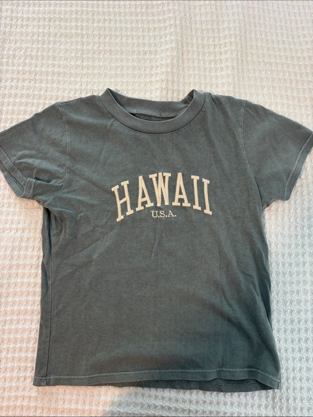 Brandy Melville Green Hawaii Graphic Tee